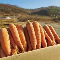 24년 햇 국내산 당근 파지 못난이 5kg