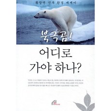 북극곰 어디로 가야 하나:황창연 신부 환경 에세이, 바오로딸, 황창연 저