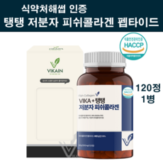 김태희단백질