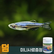 c87c2127e3253cce44121ea99fce45ecb5a2b62a9873e69ccf9295a9d5e5.jpg