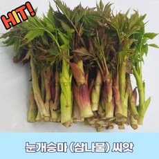 d564b4c47ecdfeaac97a11cd694aa3eef618d8269a91f9a9c6209606d709.jpg