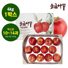 [능금나무] 미시마 못난이사과 4kg(대과 10-14과), 단품