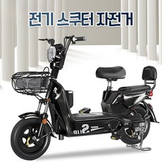 전기 자전거 48v 2인용 전기 이륜 오토바이, 기본, 12A 48V 사파이어블루 60km