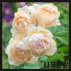 ab7a93fe498618e788b1f8b1b59892afecbe79af5089eb655a8c57168e12.jpg
