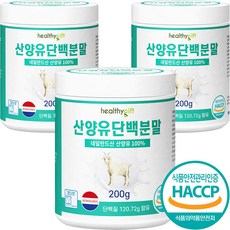 네덜란드육아법