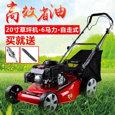 eec5f9624b46d6dba2384e6760f8d9a675bdc392bd7ba2ed76922d8e7b31.jpg
