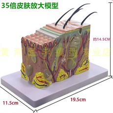 체육수업모형3판