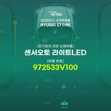 오토라이트배선