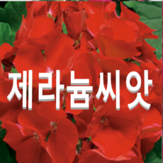 7a54a4b2ba9b025f6ea2d452f59fbe5779394f1d57d4bdc1519fa6ed774e.png