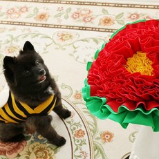 먼지없는노즈워크