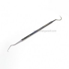 익스플로러치석제거