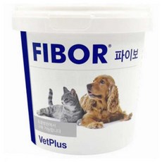 파이보