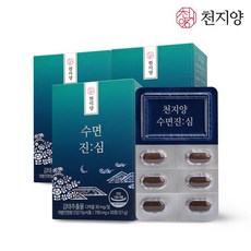 중부시장제주감태