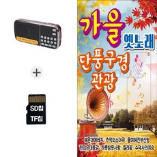 더올스 [DG] 라디오210+SD노래칩 가을옛노래 단풍구경 관광