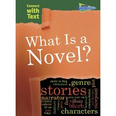 What Is a Novel? Hardcover, Raintree