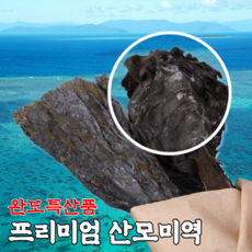 울진바다돌미역