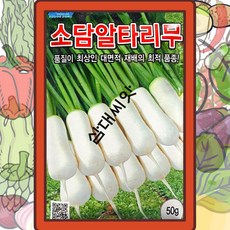 알타리무 영리재배전문가용소포장 소담알타리 50g, 1개
