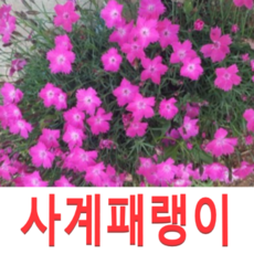aa244afc4cc15e453422fb440ddf1bc35b1a69d0d3848eab2ad311a0b3e9.png