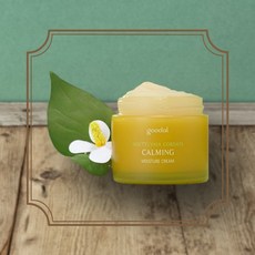 구달 맑은 어성초진정 수분크림 75ml+31ml [하비캐슬]