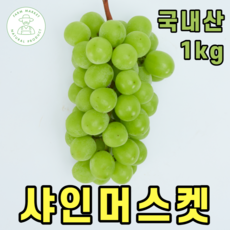 영월포도