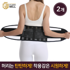 가드웰 고탄력 통기성 메쉬 허리보호대, 블랙, 2개