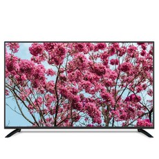 익스코리아 FHD LED TV, 109cm, NB430FHD-E01, 스탠드형, 자가설치