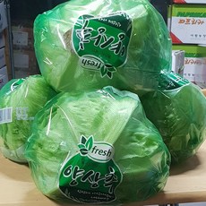 국내산 양상추 백산상회, 1개, 3kg