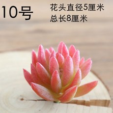 선인수박