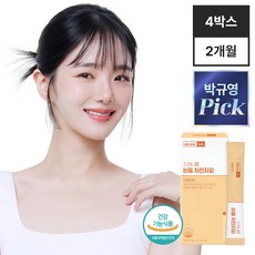 스키니랩 비움 차전자피 식이섬유 인절미맛 14포(2주분) 배변활동 쾌변 장운동, 84g, 4개