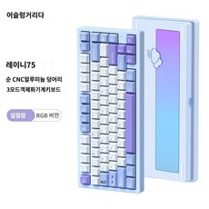 레이니75 TOP01