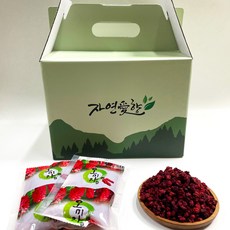 자연애향 국산 문경 오미자 진액 오미자즙 오미자차 액기스 엑기스 원액, 1개, 1개입, 100ml