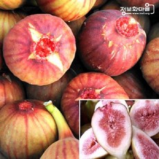 땅끝무화과주식회사