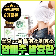 국내산 양배추 발효 효소 유산균 환 분말 식약처인증 에너데이 소화효소 haccp 락토바실러스 플란타룸 김치 유산균 위에 좋은 음식 양배추 환 발효효소 혁2라이프