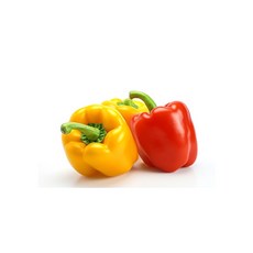 못난이파프리카
 못난이 파프리카 피망 빨강 노랑 파프리카 2kg 5kg 산지직송 혼합 5kg 1개