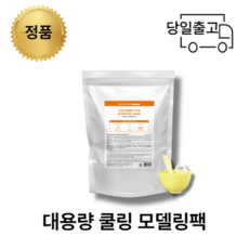 닥터슈라클모델링