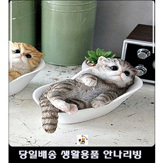 강원네이처로드