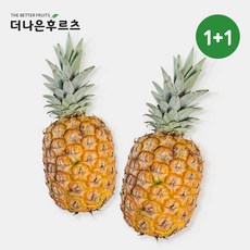 [1+1] 특품 신선 고당도 필리핀 파인애플 (1통 1.2kg), 1개
