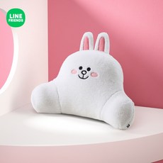 라인프렌즈허리쿠션