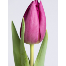 75fd1c20eb9e0c6bf1a53b44b1ad78c9a74f8273353e384b5ba2f397b0f3.PNG