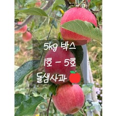 사과 밀양 얼음골 부사 명절 선물 5kg 5호(16과), 1세트