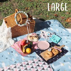 다이노이너시트