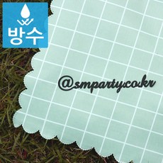 함덕피크닉대여