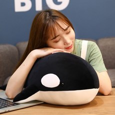 범고래바디필로우