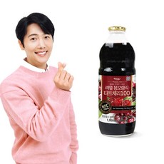 퍼니트 리얼 몽모랑시 타트체리 100 주스 원액 1000ml