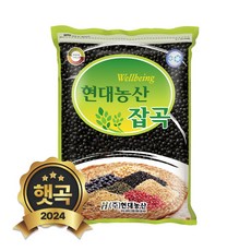 현대농산 국산 쥐눈이콩 약콩 2kg