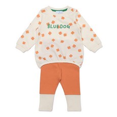 블루독베이비상하