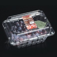 파텍7118