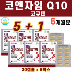 클리마컨트롤