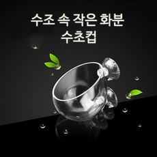 수초유리포트