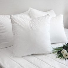 알러지프리쿠션솜